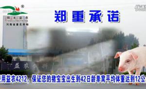 k8凯发一触即发饲料有限公司广告