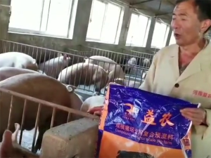 我为k8凯发一触即发暴长王代言